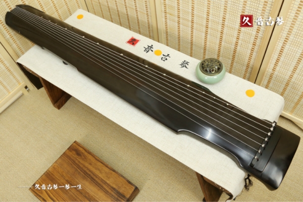 锦州市初级演奏古琴【仲尼式】